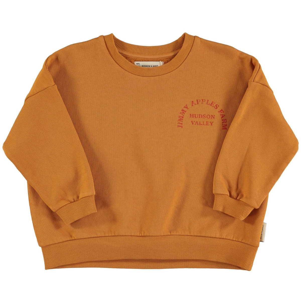 Piupiuchick Jimmy apples farm sweatshirt camel AW24.FLP2402B