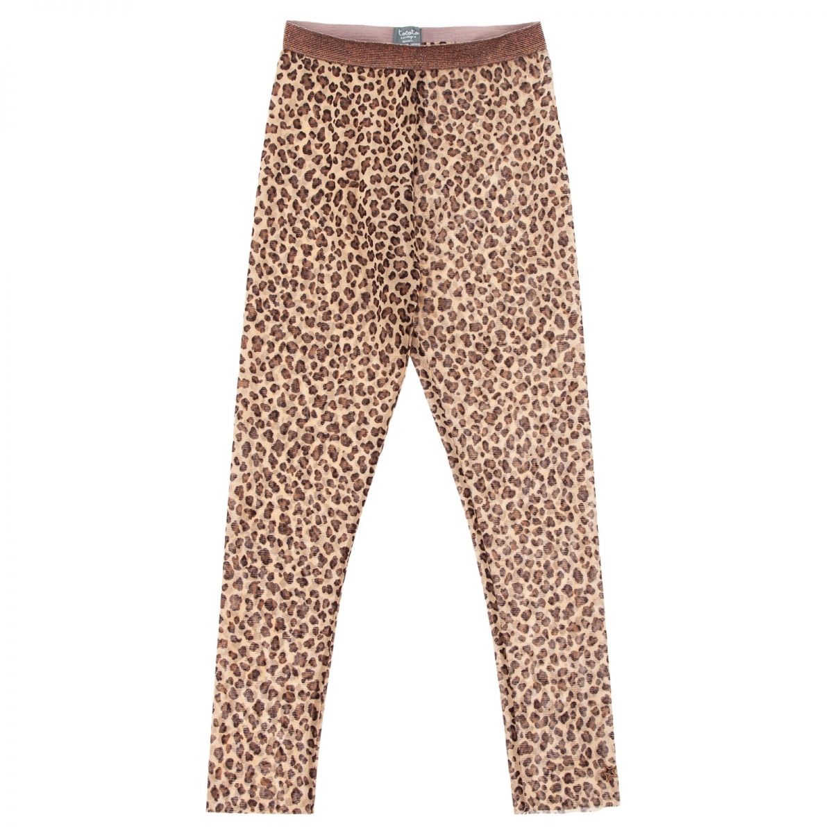 Tocoto Vintage - Animal print tulle trousers brown - Pants & leggings - W12519BROWN 