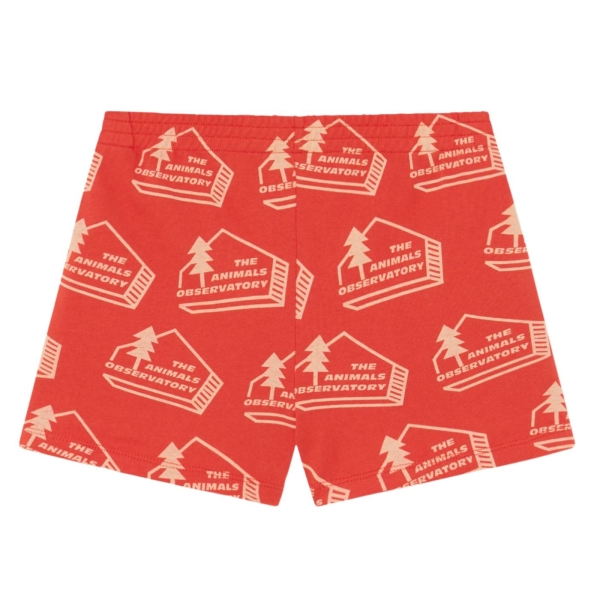 The Animals Observatory Poodle shorts red S23020_251_AQ 