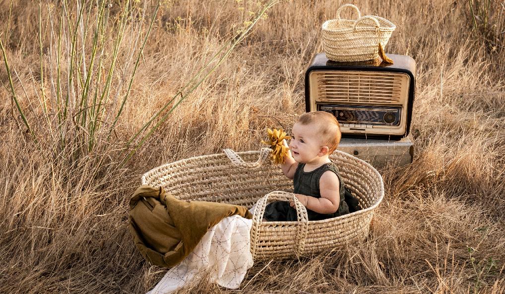 Moses basket - beautiful and comfortable Moses baskets for babies - Miss  Lemonade